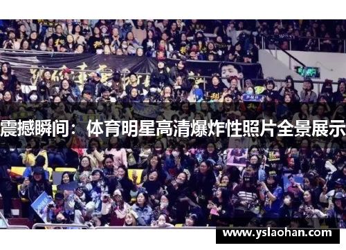 震撼瞬间：体育明星高清爆炸性照片全景展示
